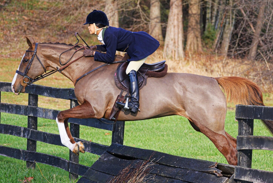 Shannon Venezia - Rider, Fox Chaser, Trainer & Mother