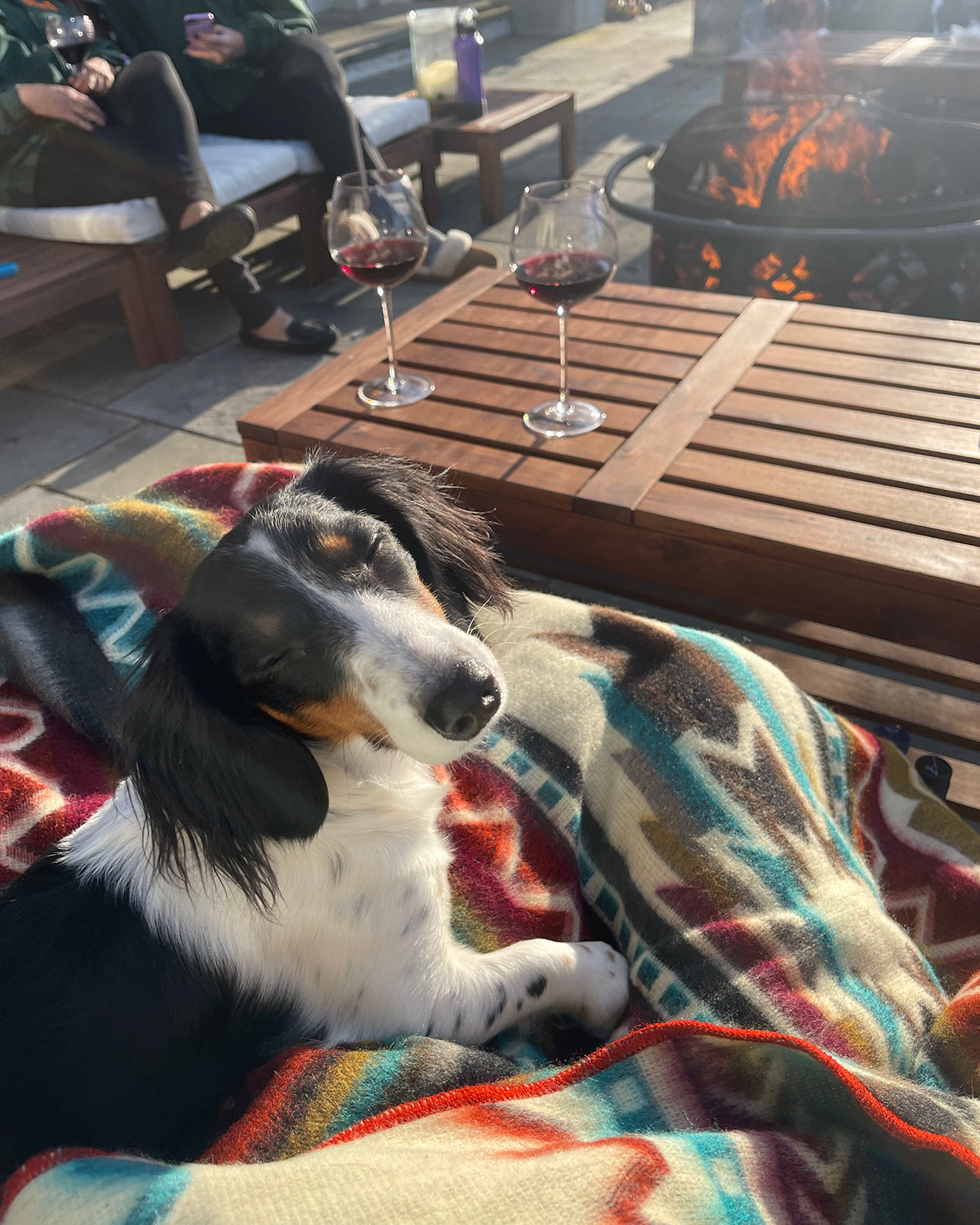 Terra Blanket